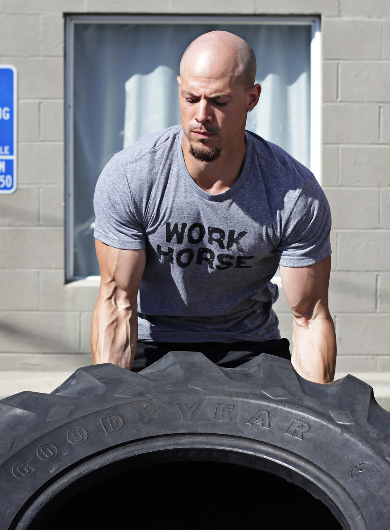 Work Horse Short sleeve t-shirt
